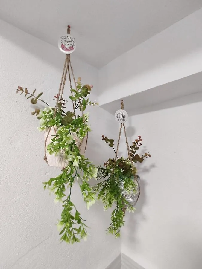 Apartamento Jimaral Vejer de la Frontera